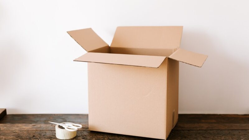 What You Should Look For When Hiring a Moving Company – Factors to Check